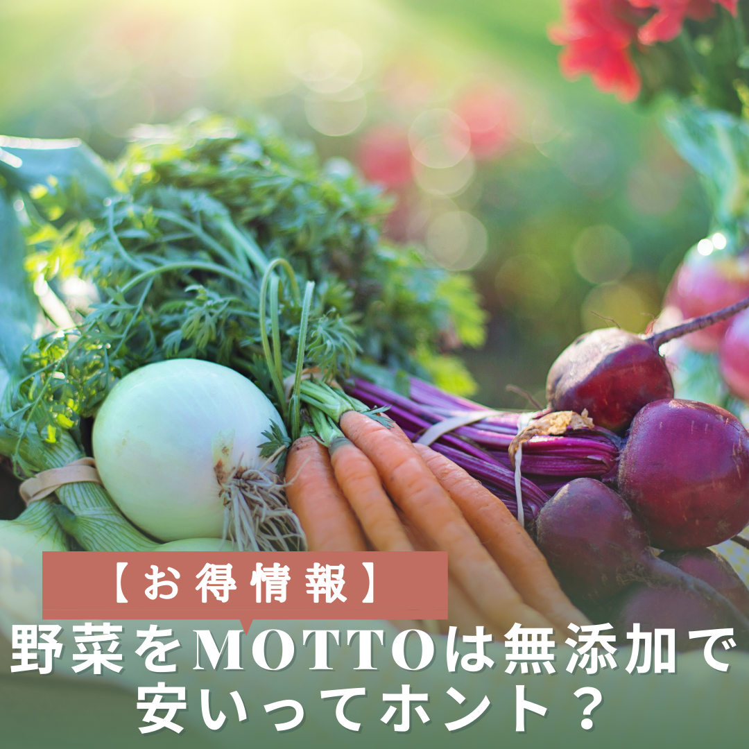 野菜をmottoは無添加　アイキャッチ画像