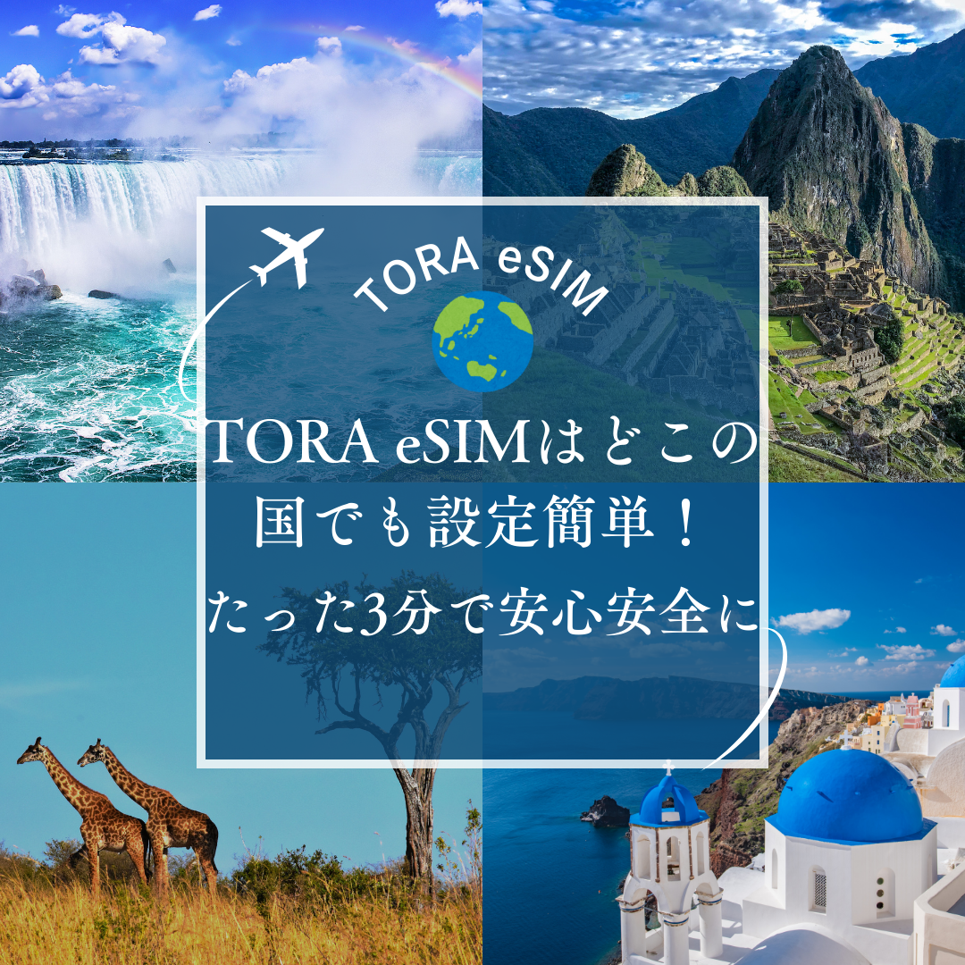 TORA eSIMはどこの国でも設定簡単！